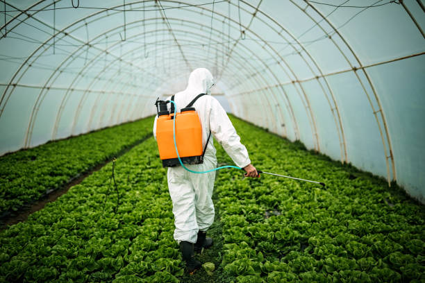 Best Pest Control for Businesses  in Nroe City, MO