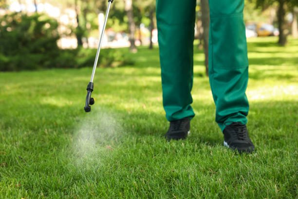 Best Flea Control Services  in Nroe City, MO