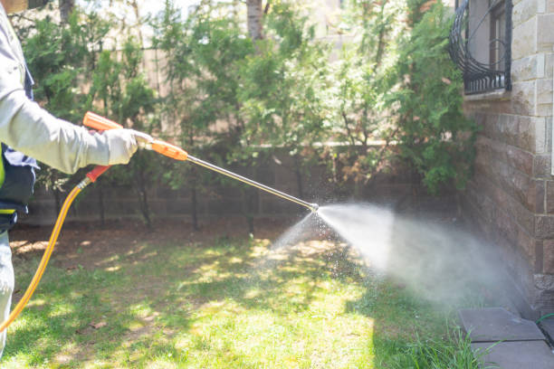 Best Pest Removal Services  in Nroe City, MO