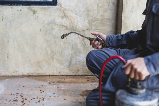 Best Emergency Pest Control  in Nroe City, MO