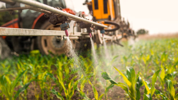 Professional Pest Control in Monroe City, MO